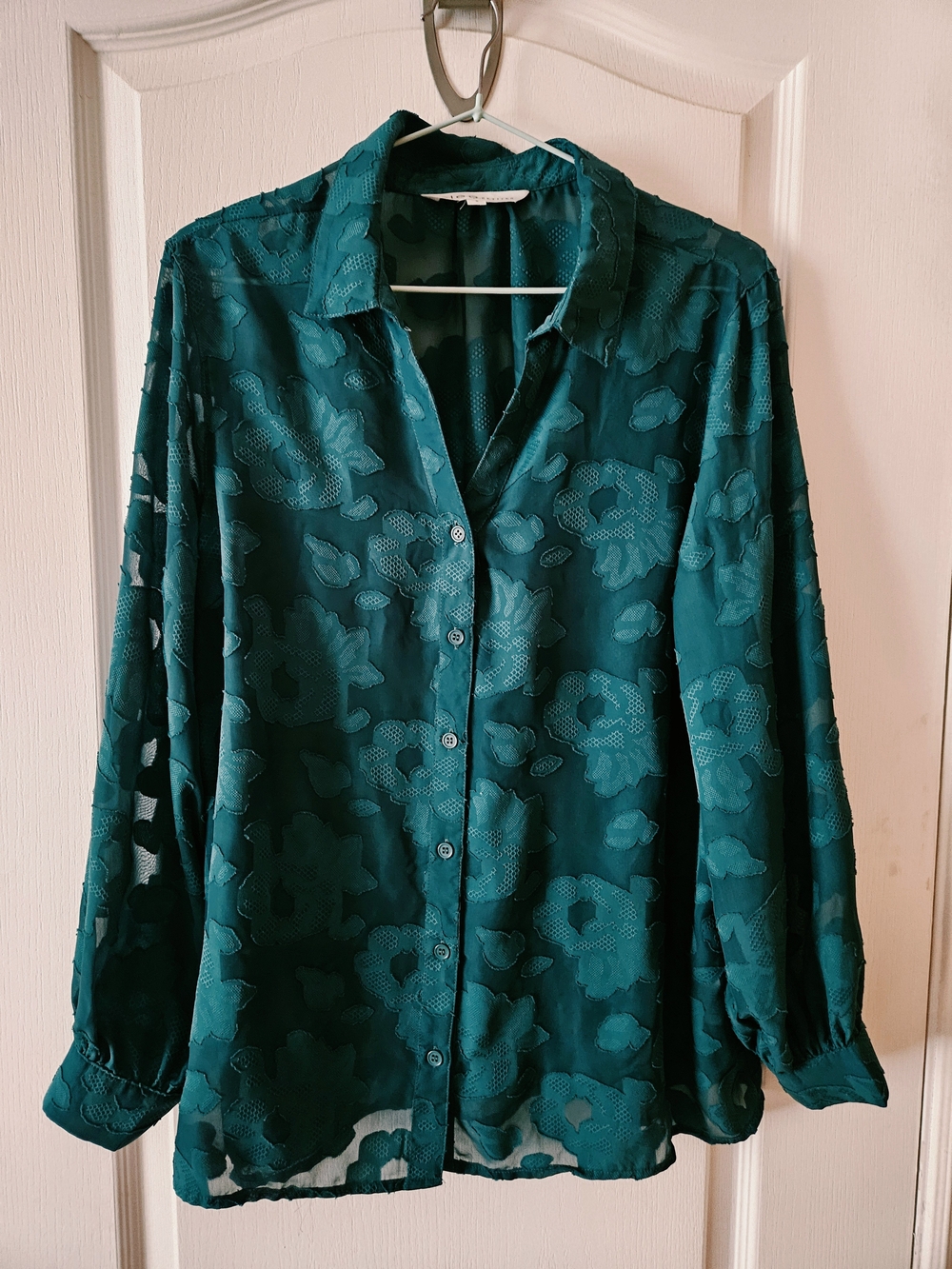 Sheer Floral Green Burnout Blouse